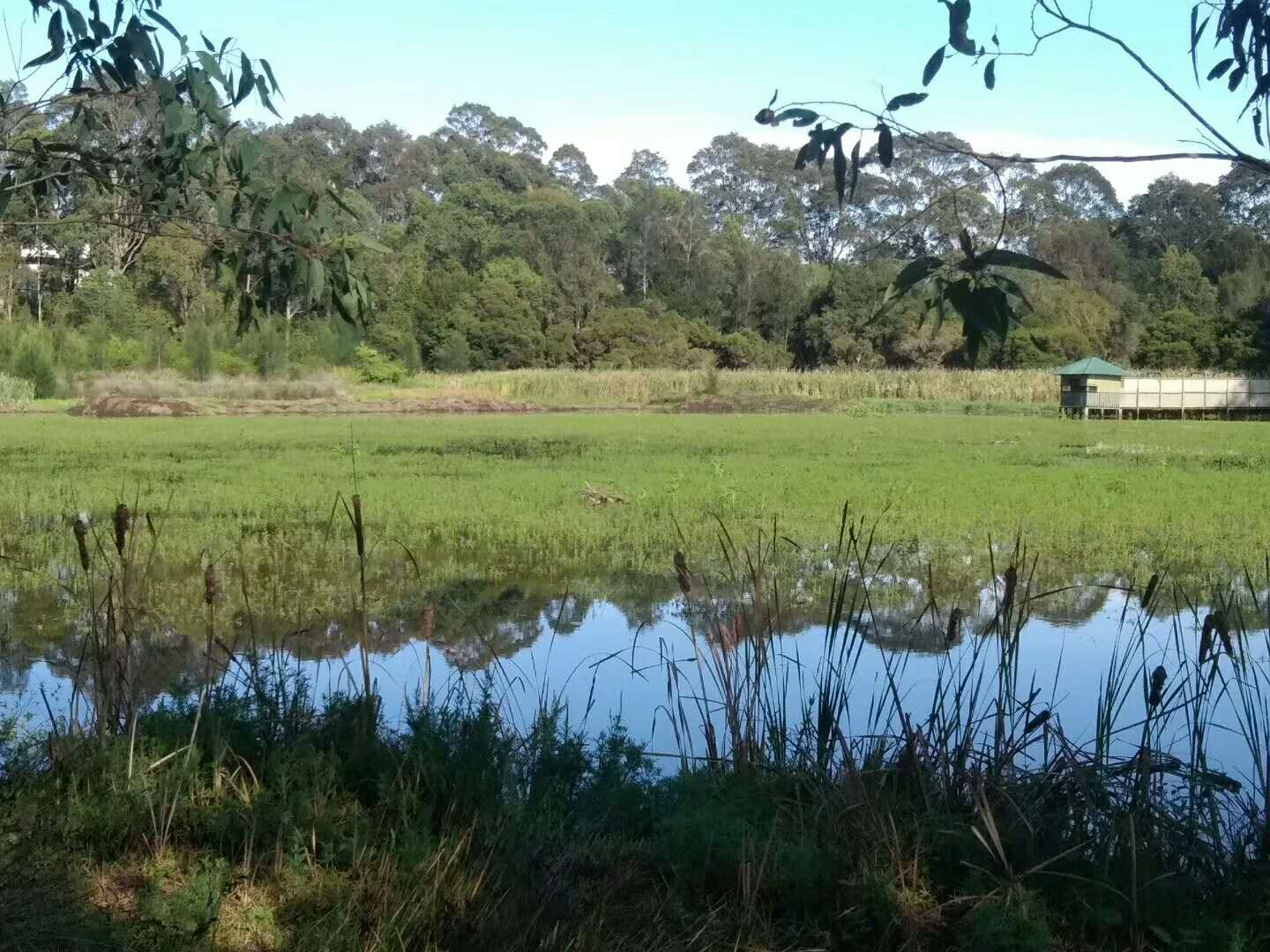 2月湿地
